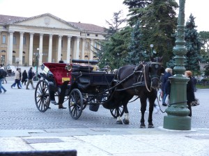 фото-верона2
