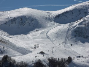 сайт.пьемонт3